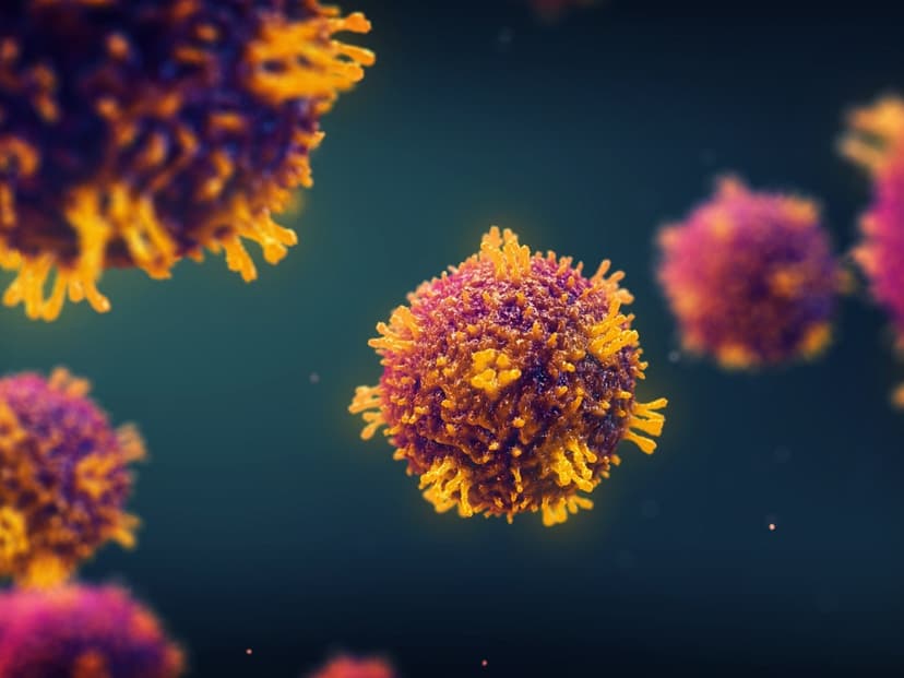 Study: Florida vaccine cuts risk huge measles surge