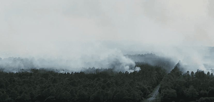 Florida Burns: Dry Spell Fuels Wildfires