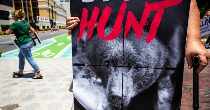 Florida Wildlife Commission Defies Lawsuit, Pushes Ahead with Bear Hunt