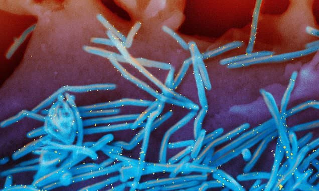 Flu Season Low, But New Virus Strain Emerges