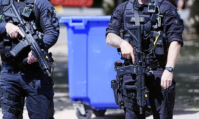 Met Police Disarm Elite Flying Squad: Will Robbers Rejoice?