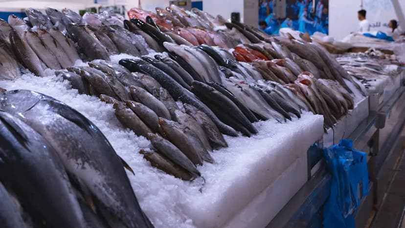 Fish Trade Spreading 'Forever Chemicals' Worldwide