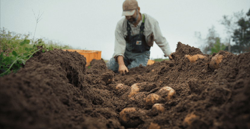 Seaweed: The Future of Food & Climate Solutions?