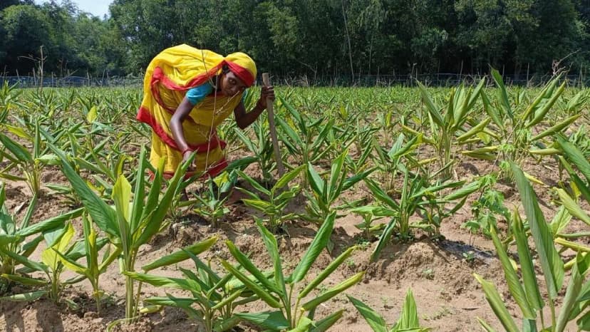 Bridging the Credit Gap for Indian FPOs