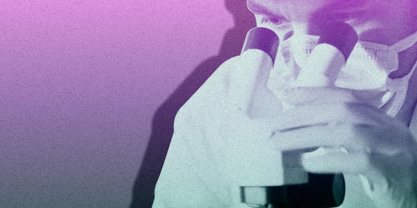 France: Cadmium Levels Spike, Children Most at Risk