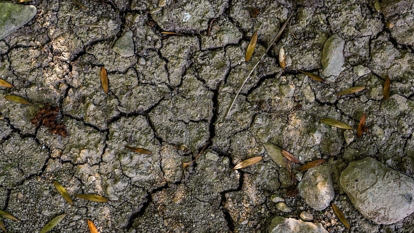 France's Thirsty Ground: Autumn Rains Fail Aquifers