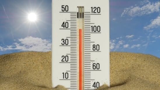 France Hospitals Strain as Heatwave Deaths Rise