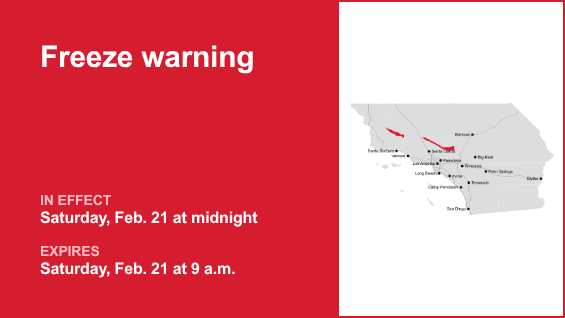 Freeze Warning Issued: Protect Your Plants Now!