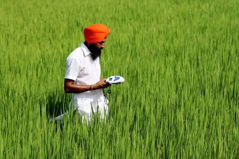 French Firm Invests $30.5M in Indian Climate Tech Startup to Boost Regenerative Farming