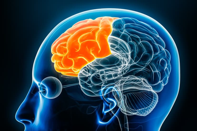 FTD Underdiagnosed: Hispanic Populations Face Diagnostic Hurdles