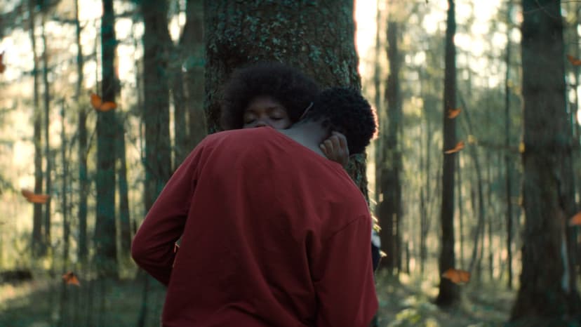 Haitian Family's Forest Haven Faces Illegal Logging Threat