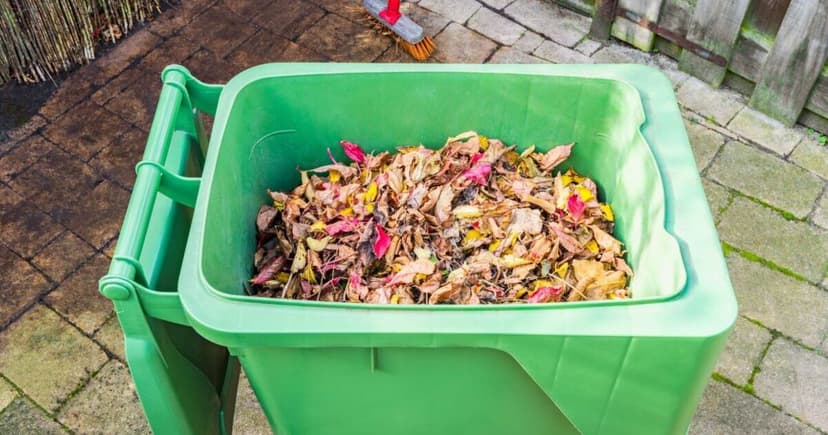 UK Garden Waste: Legal Disposal or Face Fines