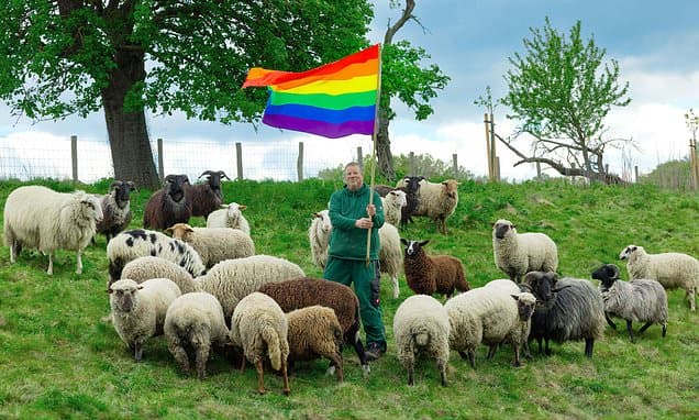 Gay Sheep Wool Hits NYC Runway for Ram Rights