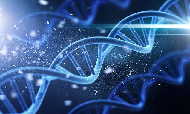 Genes Hold Key to Longer Life, Study Reveals