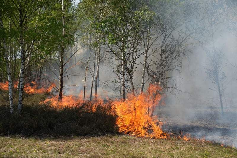 Blaze Rages Near Berlin Amid Munitions Danger