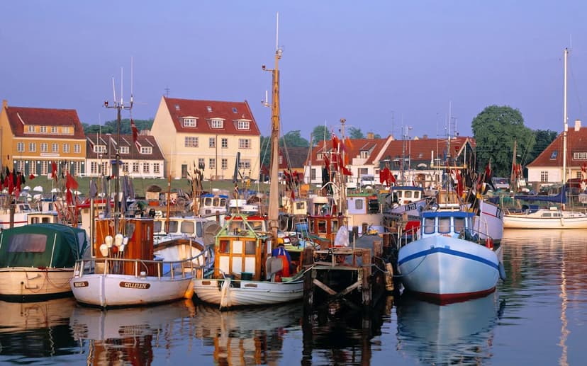 Danish Town's Secret WWII Rescue Revealed