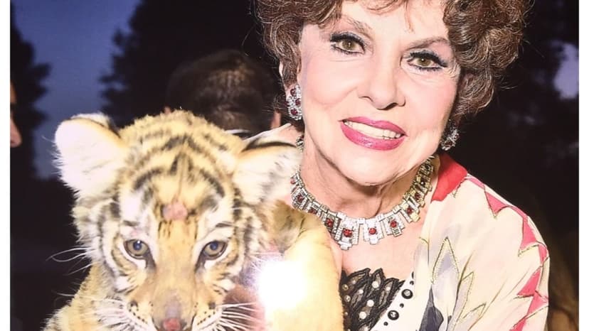 Gina Lollobrigida: Fortune Fight Revealed
