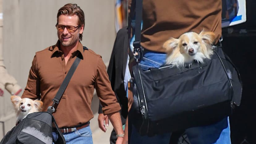 Glen Powell & Dog Brisket Hit Jimmy Kimmel Live!