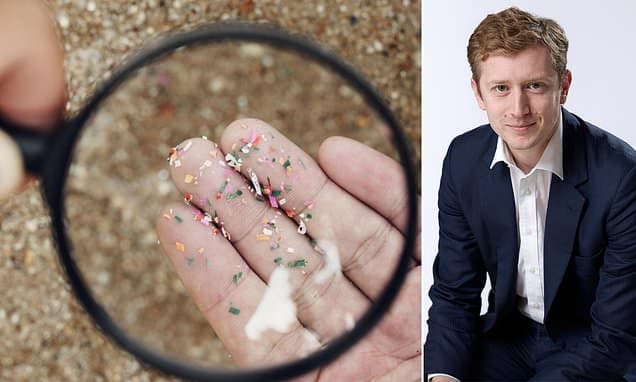 Tiny Dormice Terrorize UK Homes: The Glis Glis Crisis