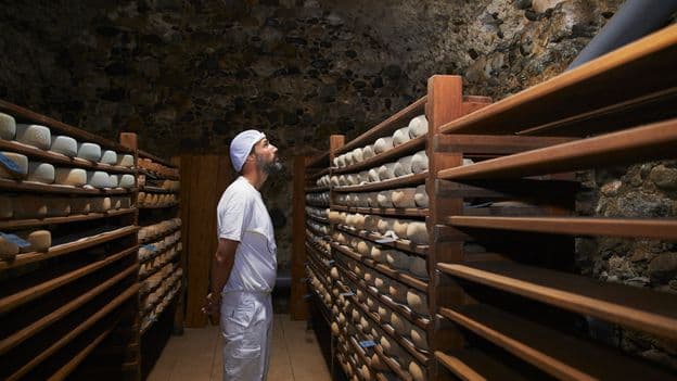 Edible Earth: Cheese's Cultural Secrets