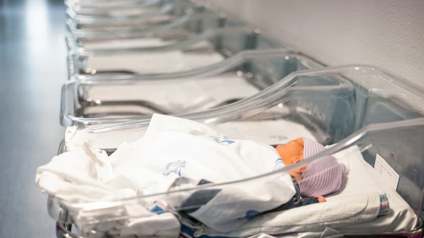 World Fertility Plunges Below Replacement Level