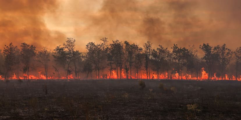 Heat Waves Evolve into Global 'Heat Storms'