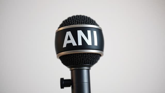 Goa Club Fire: 23 Dead in Blaze, Safety Audit Demanded