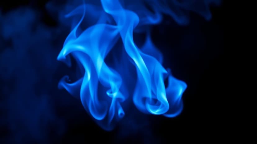 Goa's Nightlife Blaze: 25 Dead Amidst Illegal Clubs