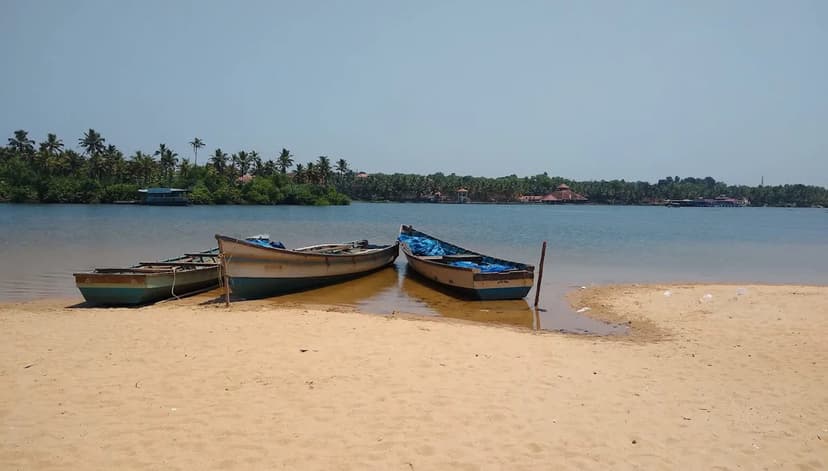 Goa Resident Bravely Fights Illegal Sand Mining Amid Threats