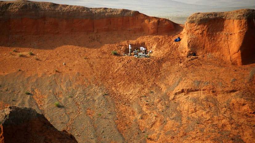 Gobi Desert: A Fossil Paradise Unearthed