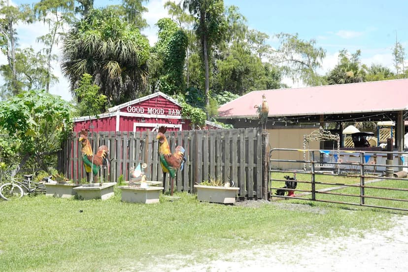 Ranch Avoids Closure with Ag Exemption