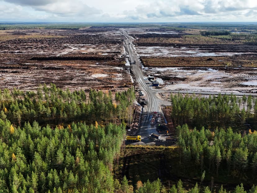 Environmental Probe Halts Google's Finland AI Hubs