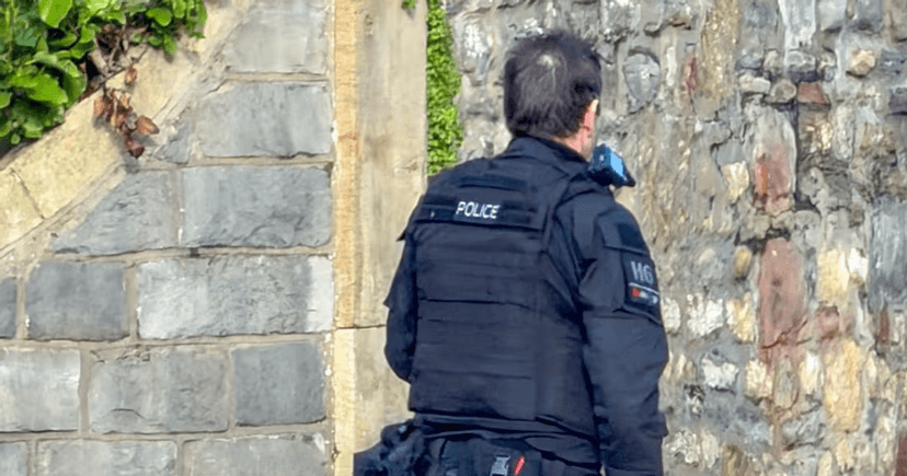 Gorillas on the Move: Armed Guards Escort Critically Endangered Species