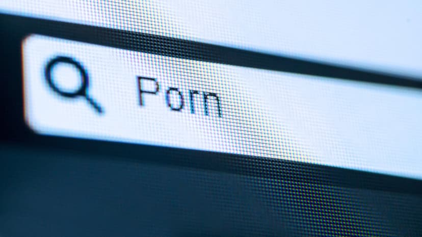 Gov Websites Host Porn & Malware: A Digital Dirt Scandal