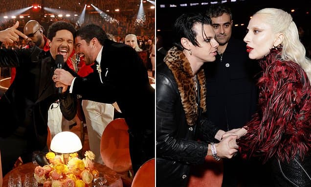 Grammys Seat Filler Reveals Backstage Chaos