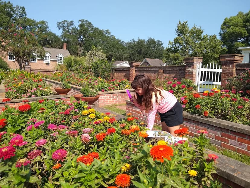 Count Insects: Help Pollinator Science!
