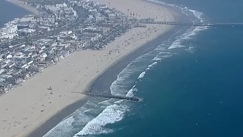 Lifeguards Clear Beach After Shark Sighting