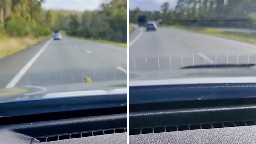Australian Driver's Wild Ride with a Green Tree Snake