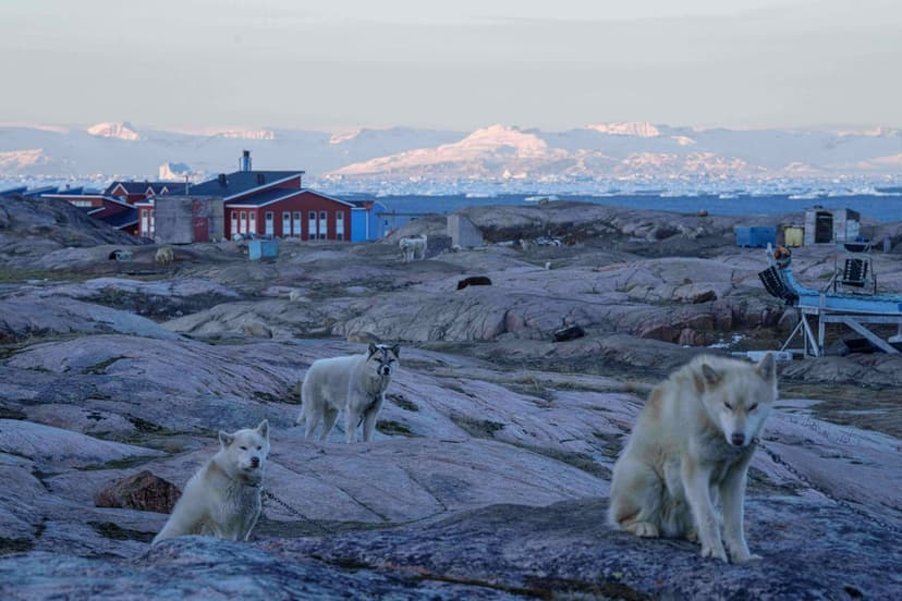Greenland's Ice Melts: Dog Sleds Bounce on Bare Earth