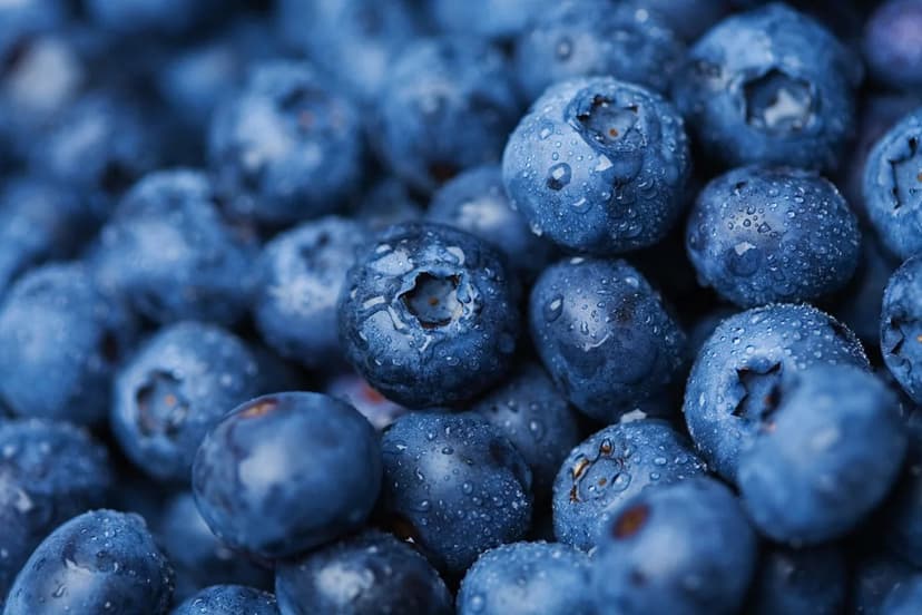 Blueberry Recall: E. coli Scare Hits Freezers!