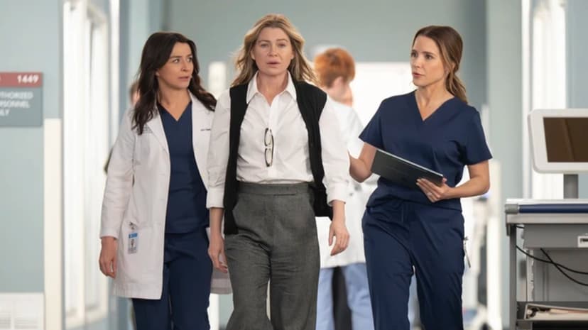 Grey's Anatomy's Star-Studded Patient Roster