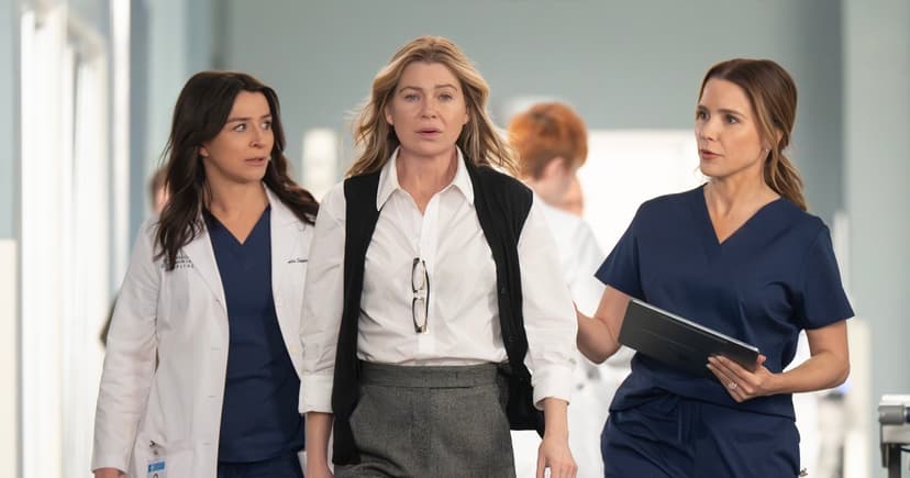 Grey's Anatomy Loses Two Surgeons: What's Next?