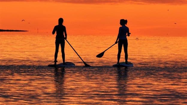 Paddleboards Help Save Dying Gumbaynggirr Language