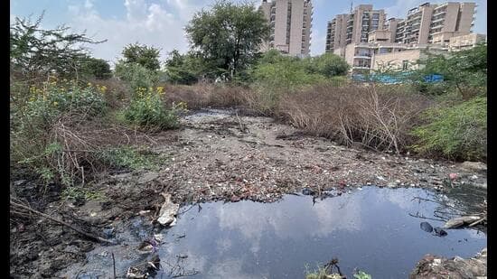 Sewage Dumping Chokes Gurugram Society
