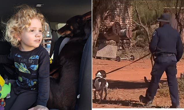 Police Return to Outback Property in Gus Lamont Search