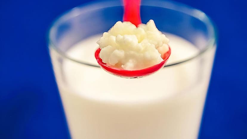 Gut Health's Secret Link to Your Heart Revealed