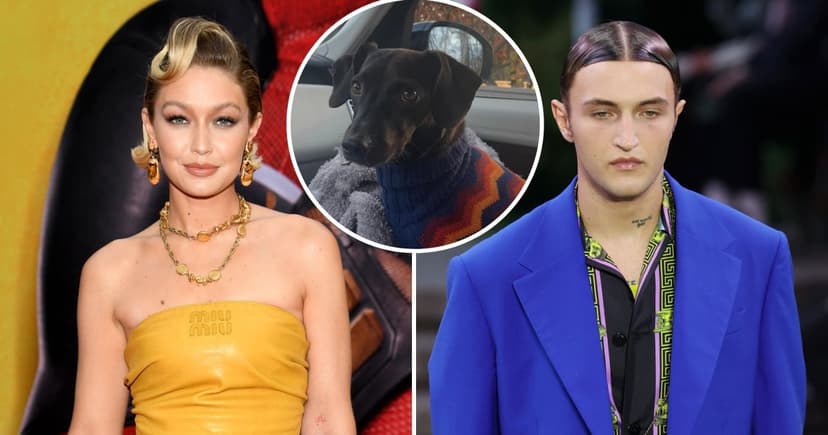 Gigi Hadid's Family Mourns Beloved Dog Dexter