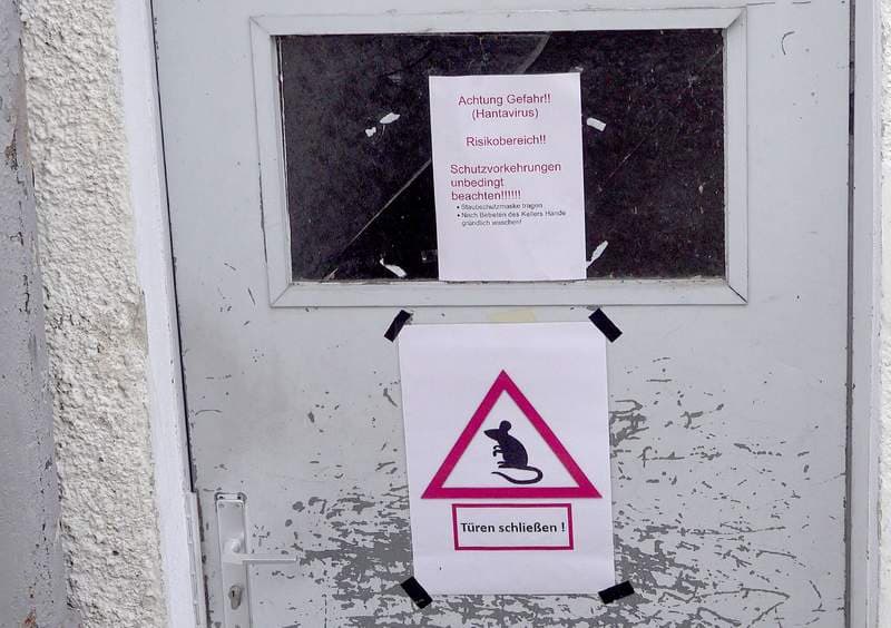 Hantavirus Outbreak: Cruise Ship Docked in Spain