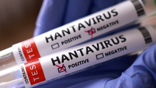Cruise Ship Hantavirus Outbreak: Three Dead