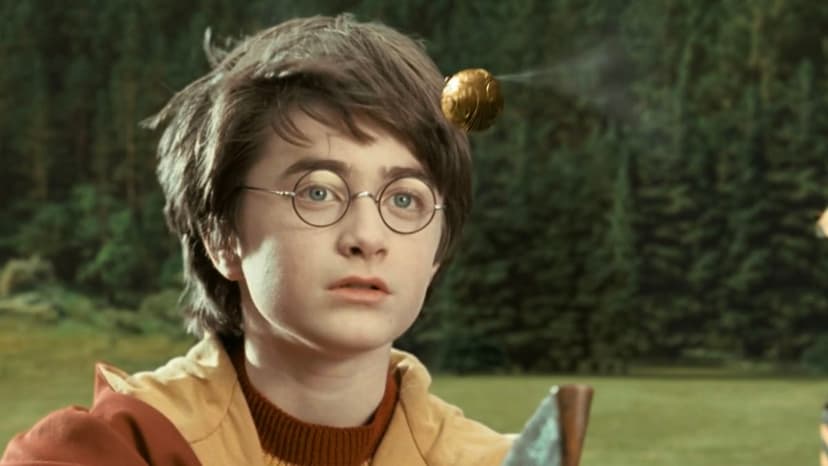 Harry Potter's Eyes: The Truth Revealed
